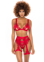 Load image into Gallery viewer, Janet Collection Red Bra Sets Salt and Lace Intimates

